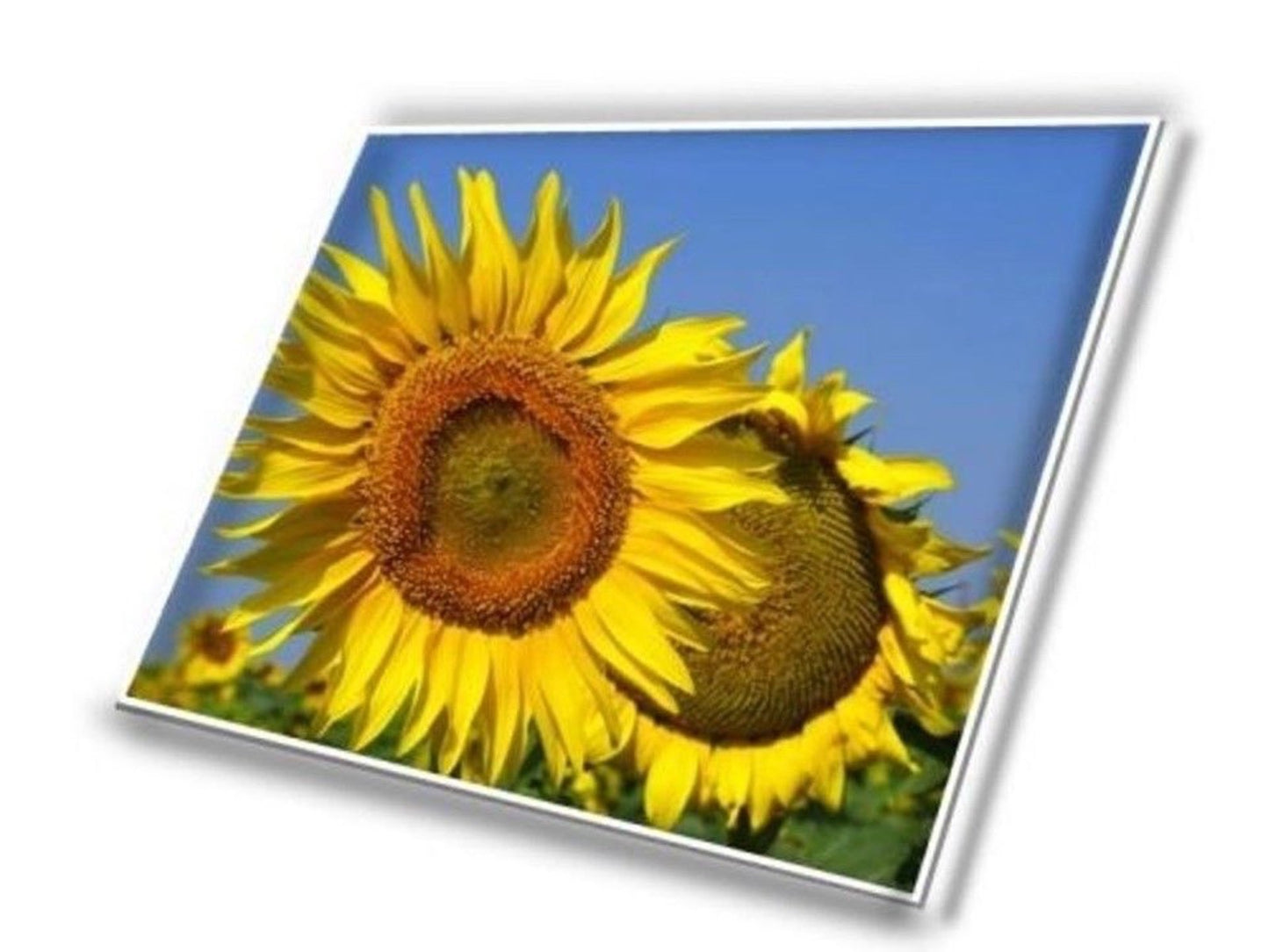 16.1" 144hz IPS FHD screen for BOE NV161FHM-NY1 NY2 NY3, NV161FHM-NX1 NX2 V3.0