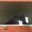 Samsung Notebook 9 Pro NP930MBE with touch Top Assembly 1920*1080 (Silver)